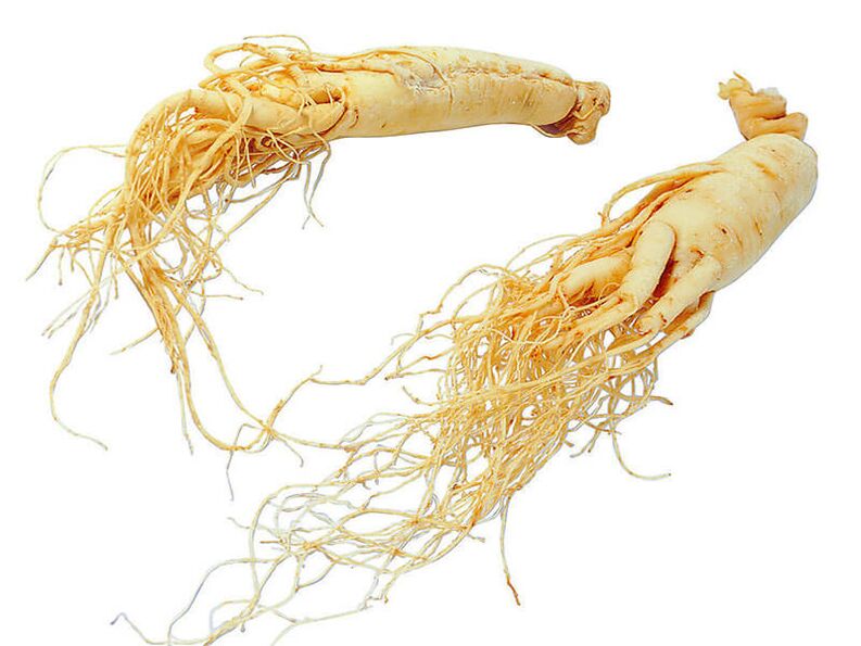 The efficacy of ginseng
