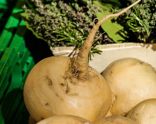 turnip greens